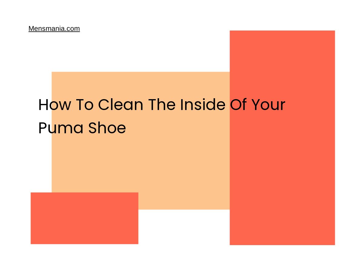 How To Clean The Inside Of Your Puma Shoe