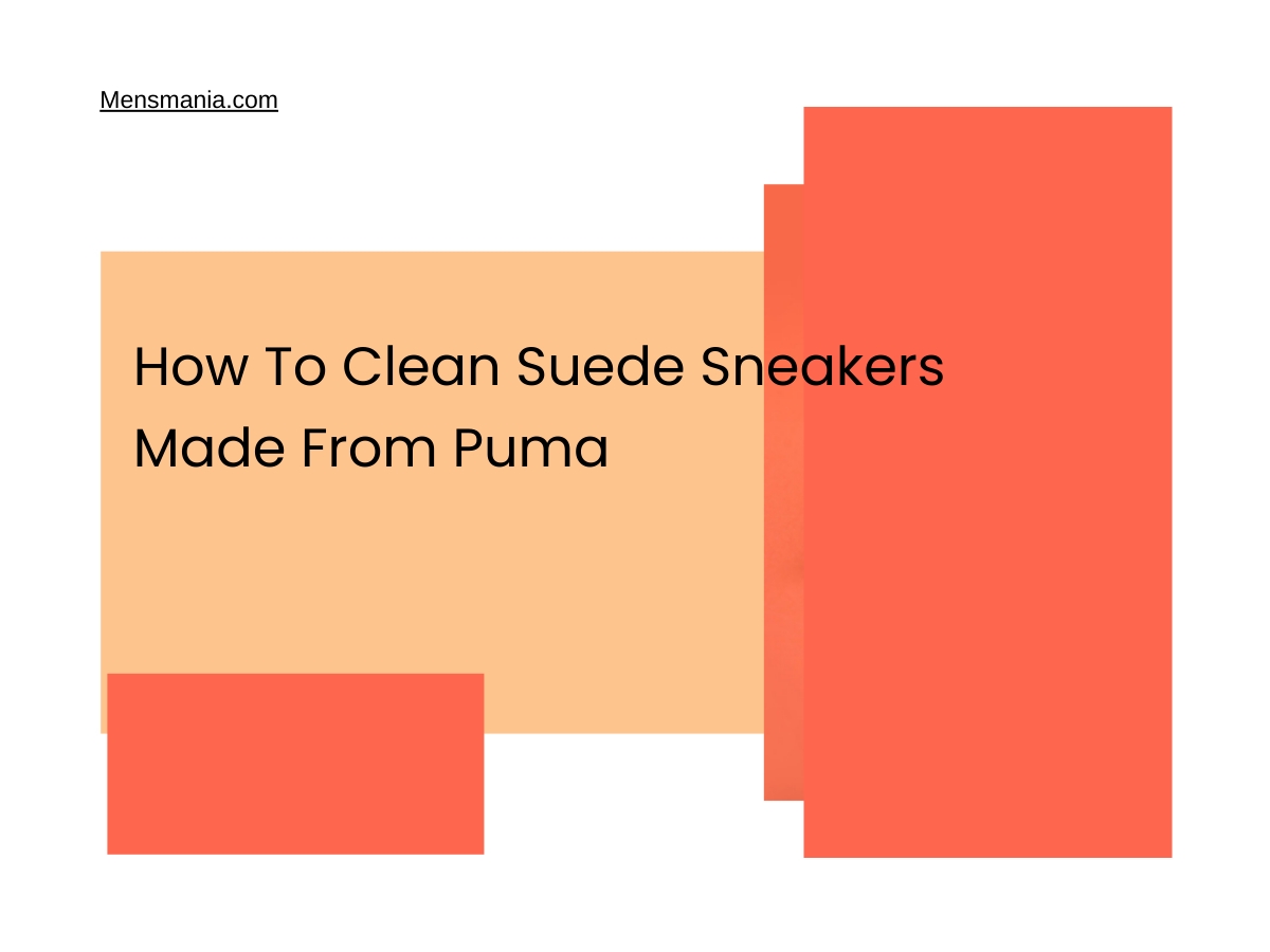 How To Clean Suede Sneakers Made From Puma